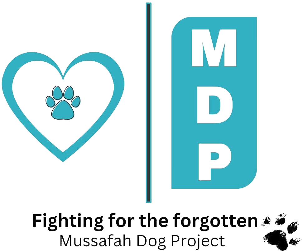 Mussafah Dog Project