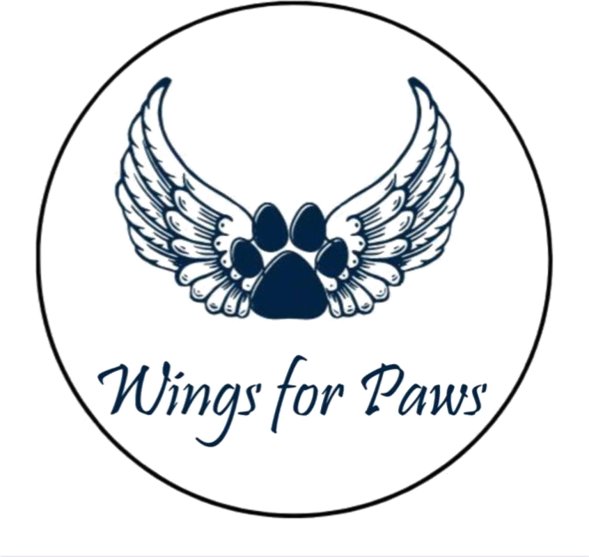 Wings for Paws